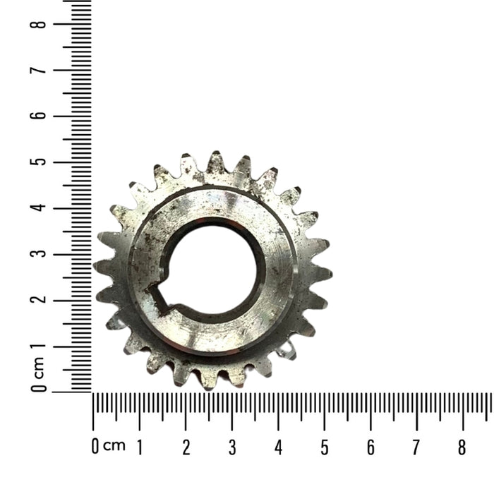 Motor Pinions (M)
