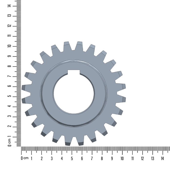 Shaft Pinions (S)