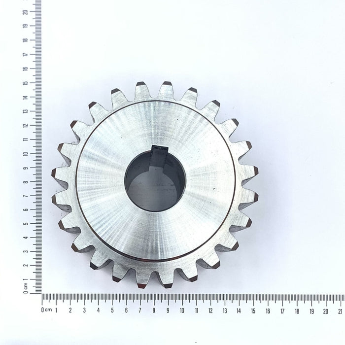 Motor Pinions (M)