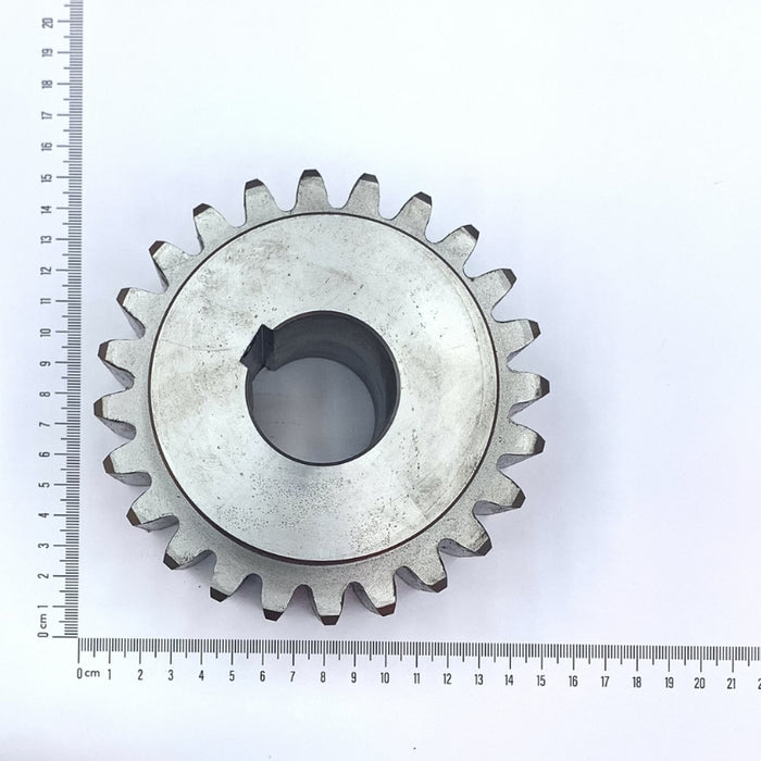 Shaft Pinions (S)