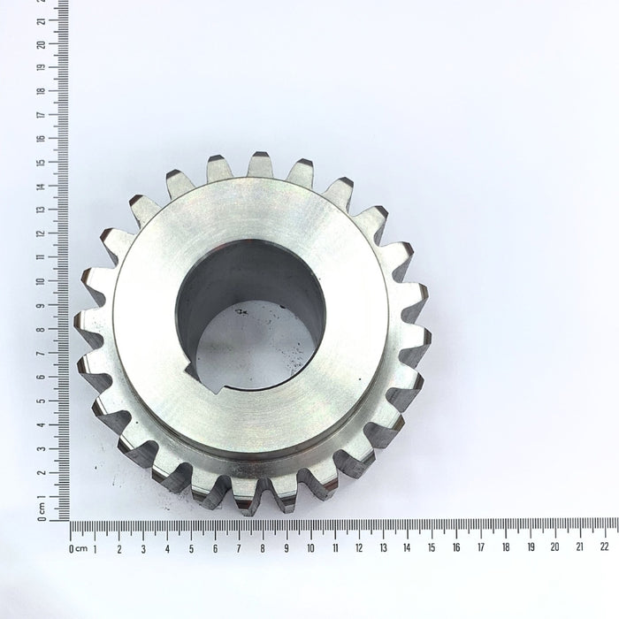 Shaft Pinions (S)