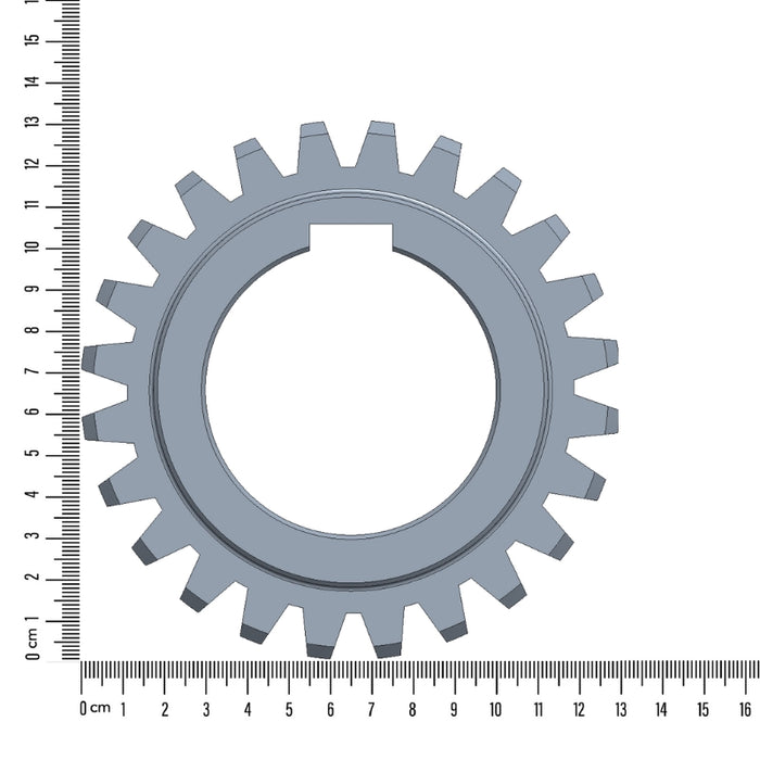 Shaft Pinions (S)